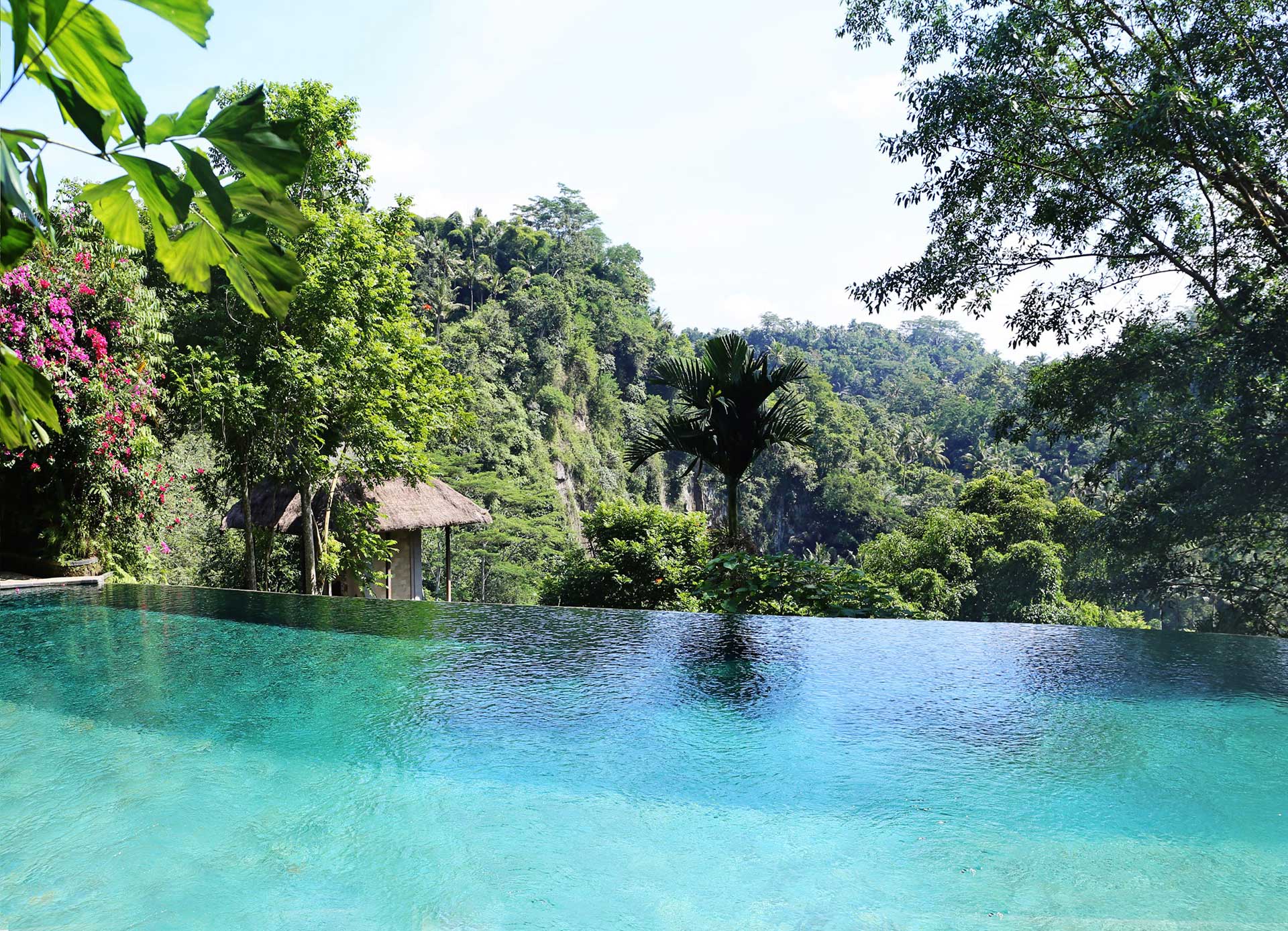 Pool in the Jungle Sri Lanka